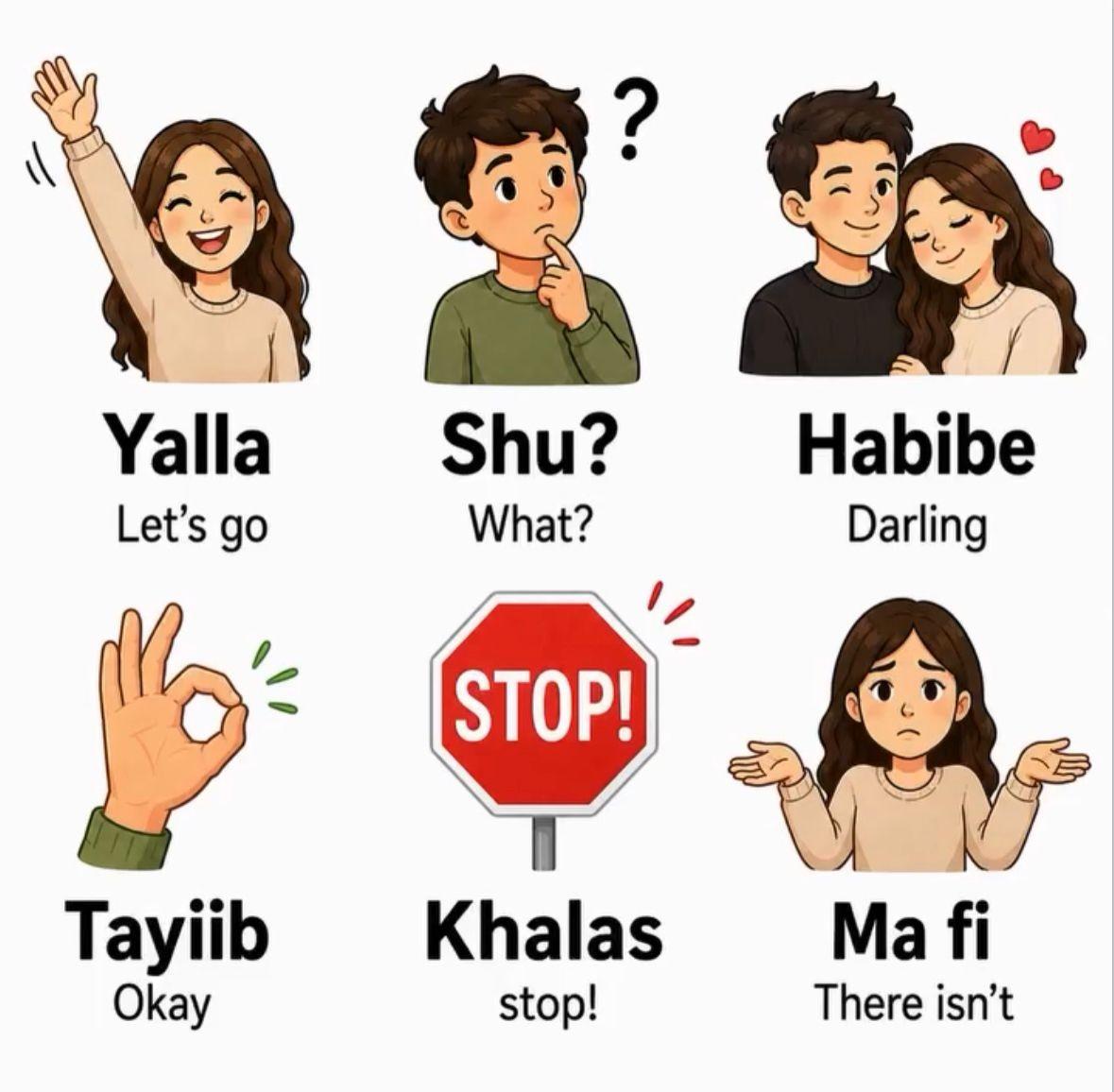 Instagram post teaching Yalla, Shu, Habibe, Tayiib, Khalas and Ma fi